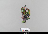 藏品(馬來西亞皮影戲戲偶)的圖片